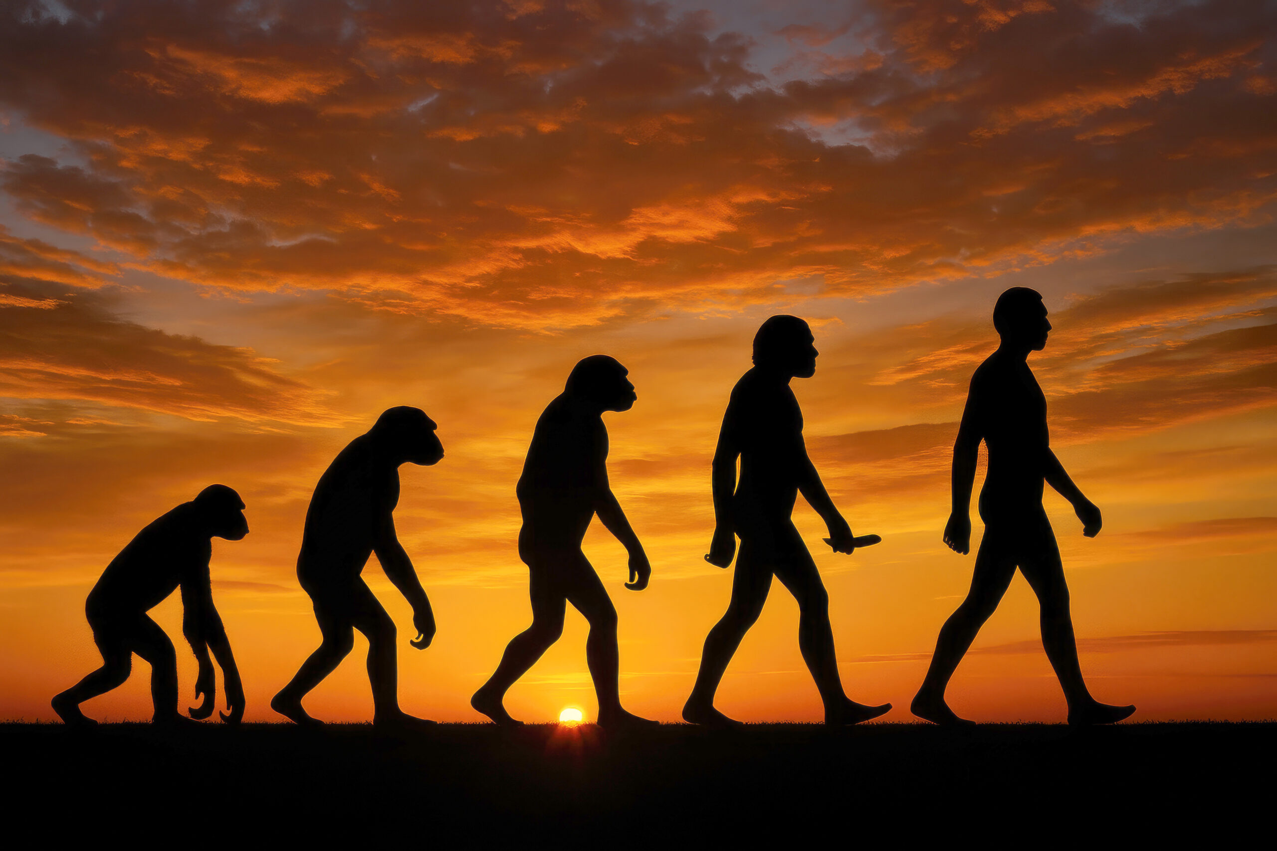 Journal 50回記念！！変わる世界、変わらぬ人間