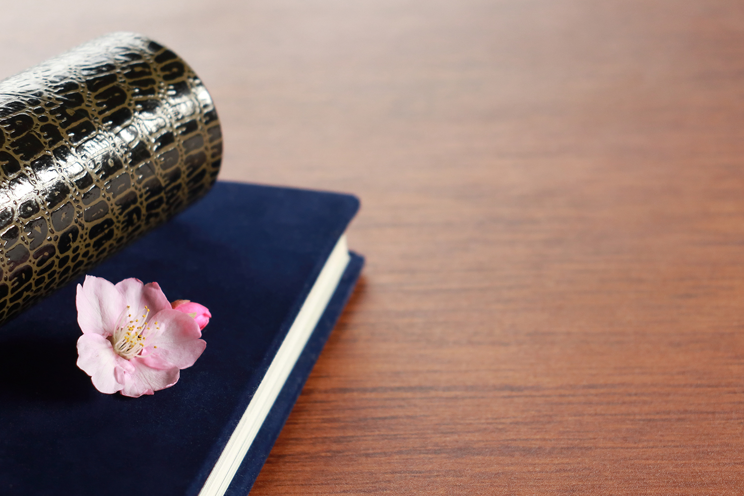 【文武両道・質実剛健】を胸に